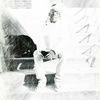 bvbyscoota