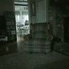 alangdon4