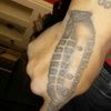 barber_rock