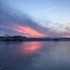 josie_zettler