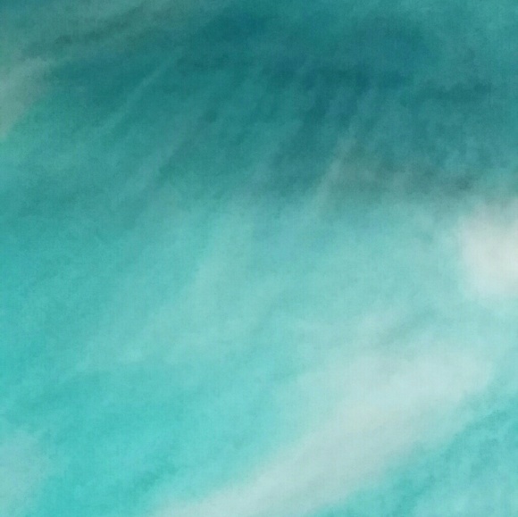 turtle03fktlfl