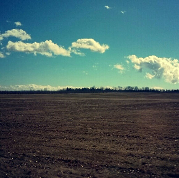 haley_2205