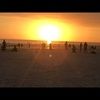 robin_p6