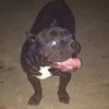 joseph_07