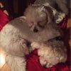 joelleg_07