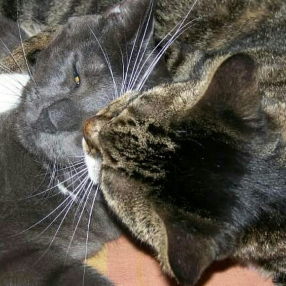slicht1