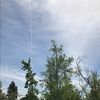 chrisbernalt24