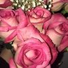 jessica_roseee