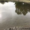 tristen415