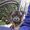 marcus_mcgloom