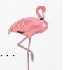 pinkflamingo46