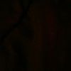 cameo_187