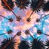 laurenrosa80