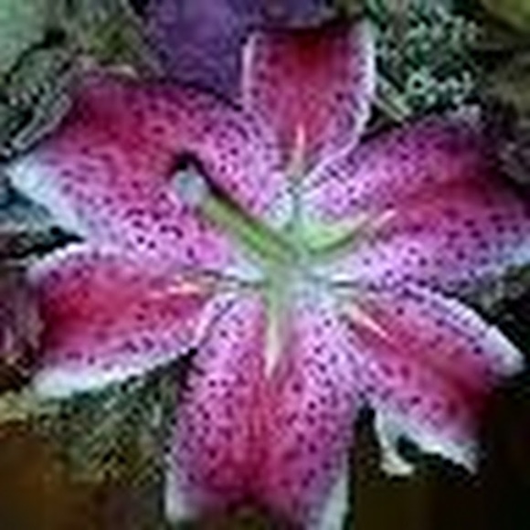 lovespink84
