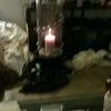 aimee_foreman