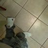 anthony1234565