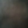 mikewalker337