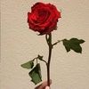 maritza_07