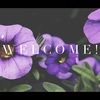 taylorrenee251