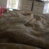 jillgore13132