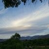 monroy1