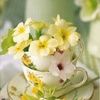 rbegum123