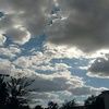 mynette701
