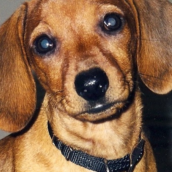 atcaruso