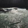nicklax37