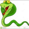 reillymacer
