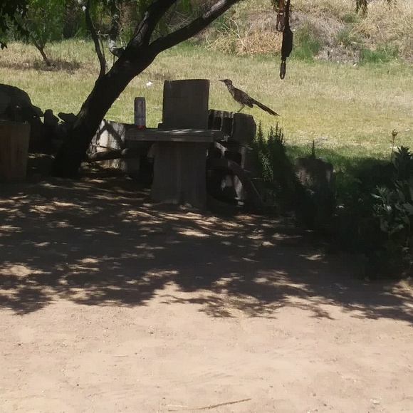 ggarcia21tiny