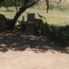 ggarcia21tiny