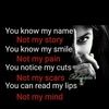 andrea5544
