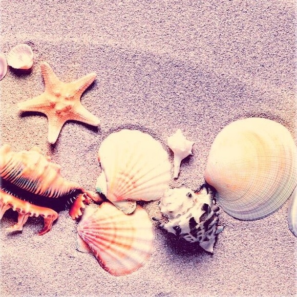 swimmer091