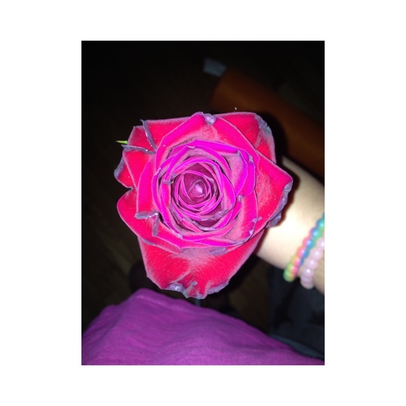 lilly_025