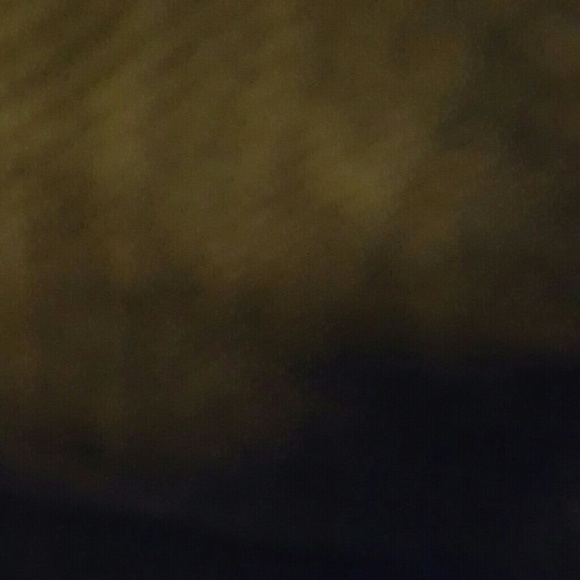 ashleinbrad