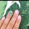 aflowers_6