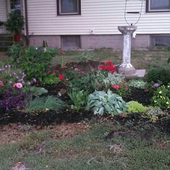 garden3149