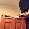 anthonyv084