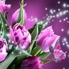 julie2394