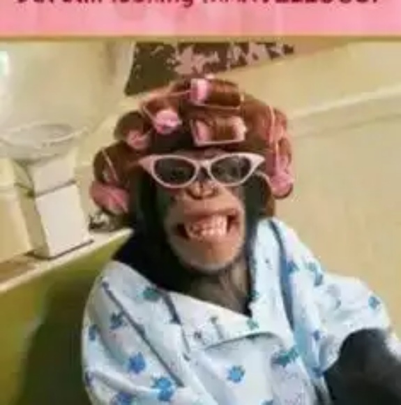 johnnycrash