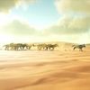 pancakesepia