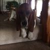 debbie_yoder