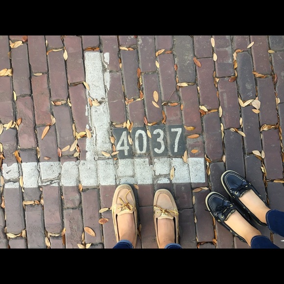 aali426
