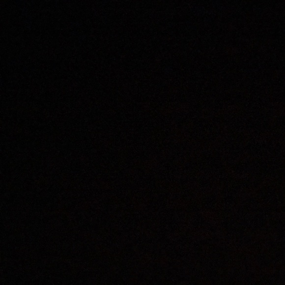 danabug200013