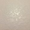 laceygray35