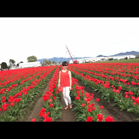 chihoang_1993