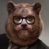 bearmanroar