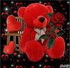 loribrown181