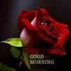 manoj9rai